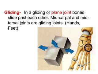 Gliding- In a gliding or plane joint bones
slide past each other. Mid-carpal and mid-
tarsal joints are gliding joints. (Hands,
Feet)
 