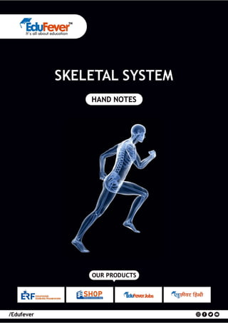 Skeletal system - Biology Handwritten Notes
