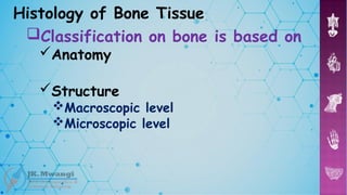 Skeletal System Part 1.Anatomy and physiology .pptx