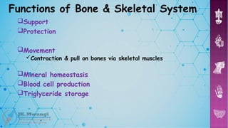 Skeletal System Part 1.Anatomy and physiology .pptx