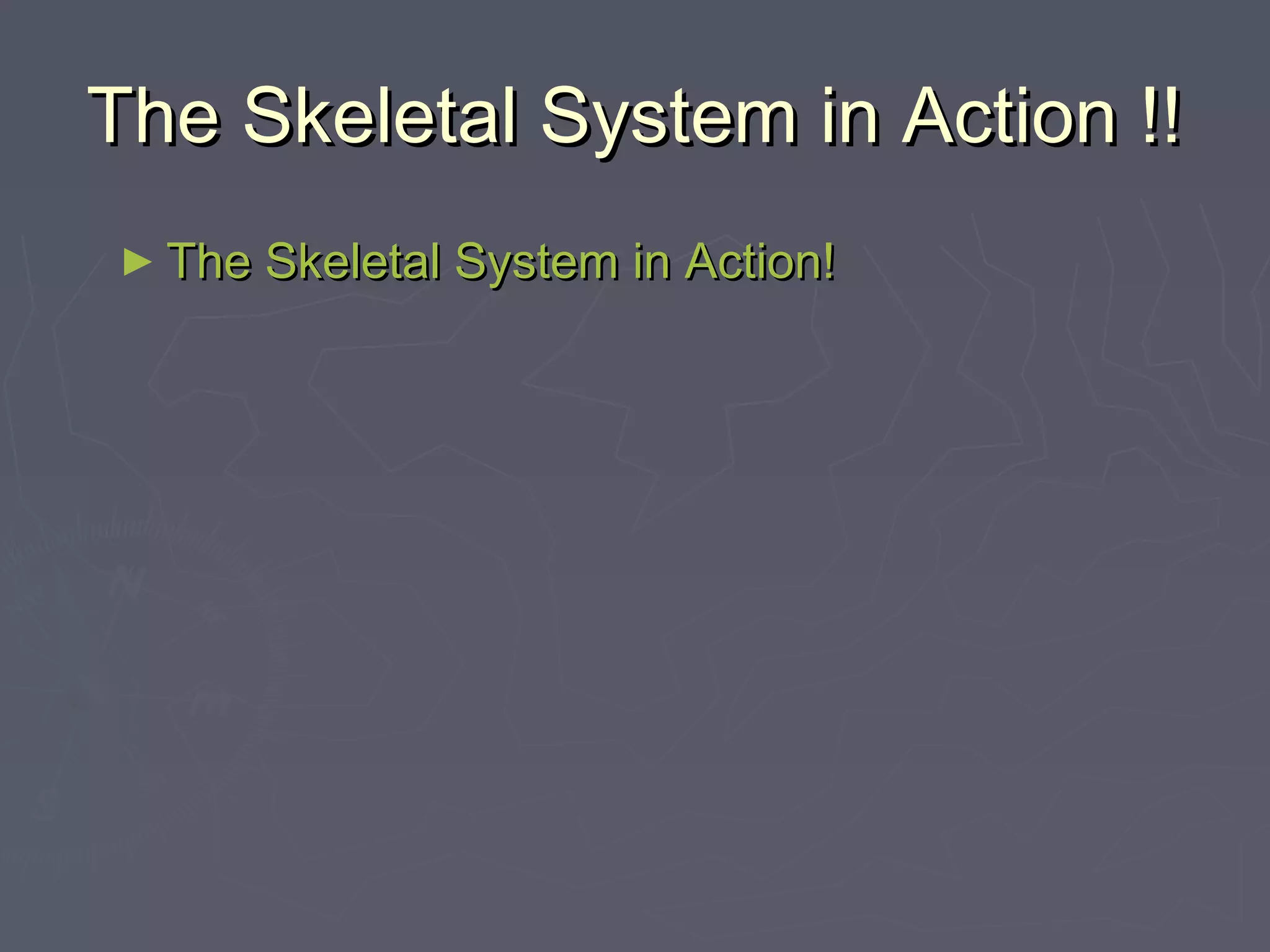 The Skeletal System in Action !!The Skeletal System in Action !!
► The Skeletal System in Action!The Skeletal System in Action!
 