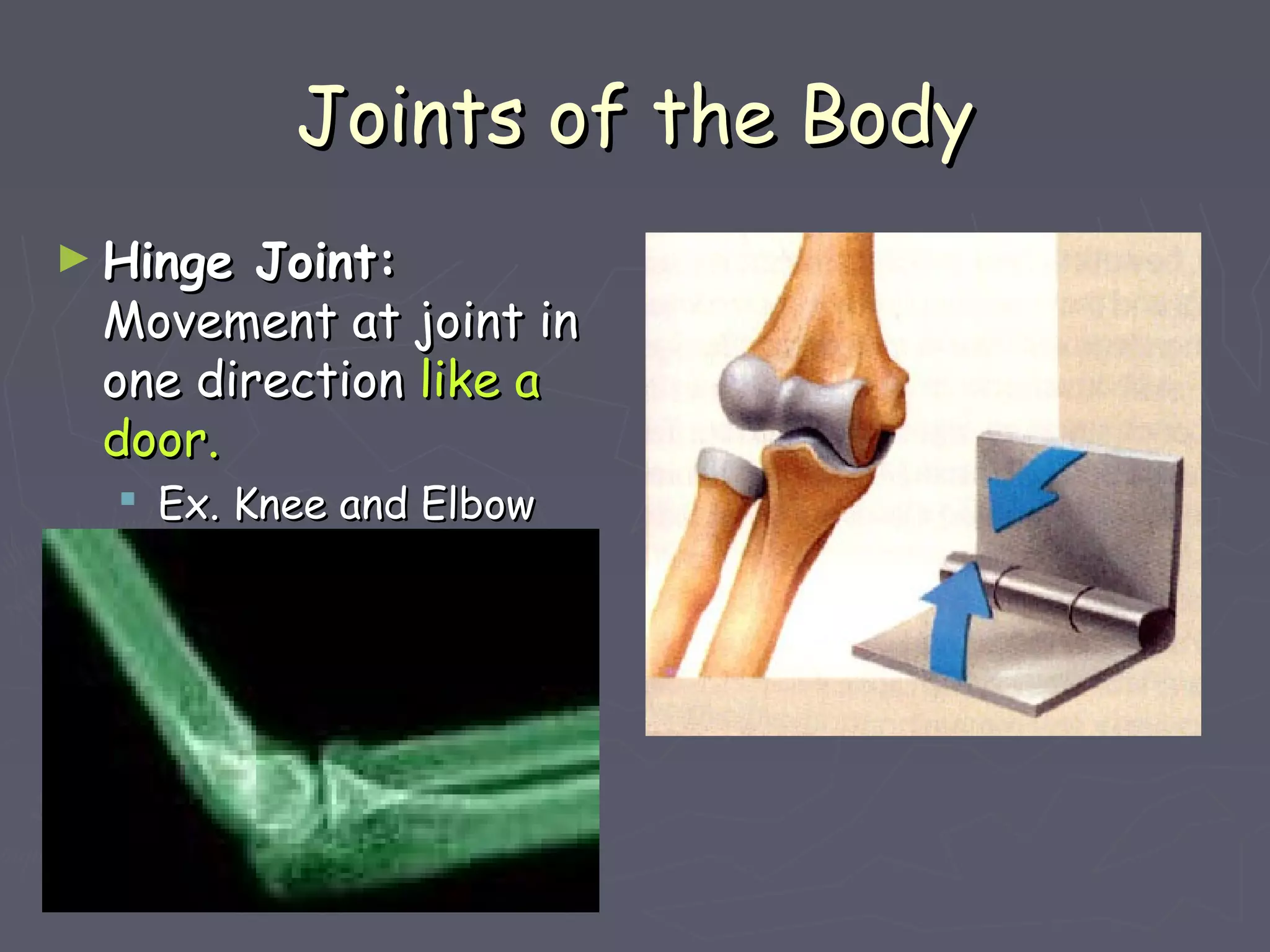 Joints of the BodyJoints of the Body
► Hinge Joint:Hinge Joint:
Movement at joint inMovement at joint in
one directionone direction like alike a
door.door.
 Ex. Knee and ElbowEx. Knee and Elbow
 