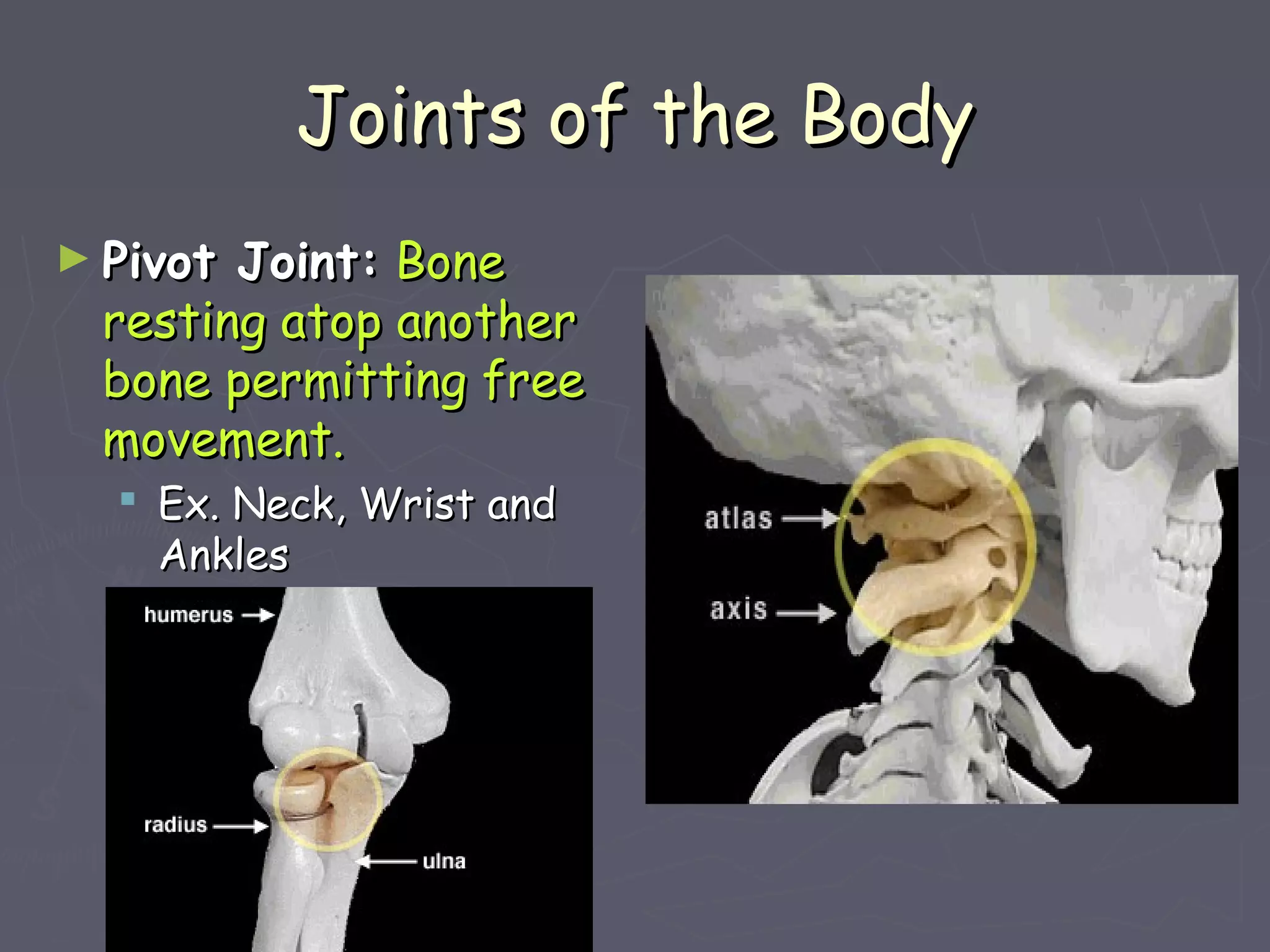 Joints of the BodyJoints of the Body
► Pivot Joint:Pivot Joint: BoneBone
resting atop anotherresting atop another
bone permitting freebone permitting free
movement.movement.
 Ex. Neck, Wrist andEx. Neck, Wrist and
AnklesAnkles
 