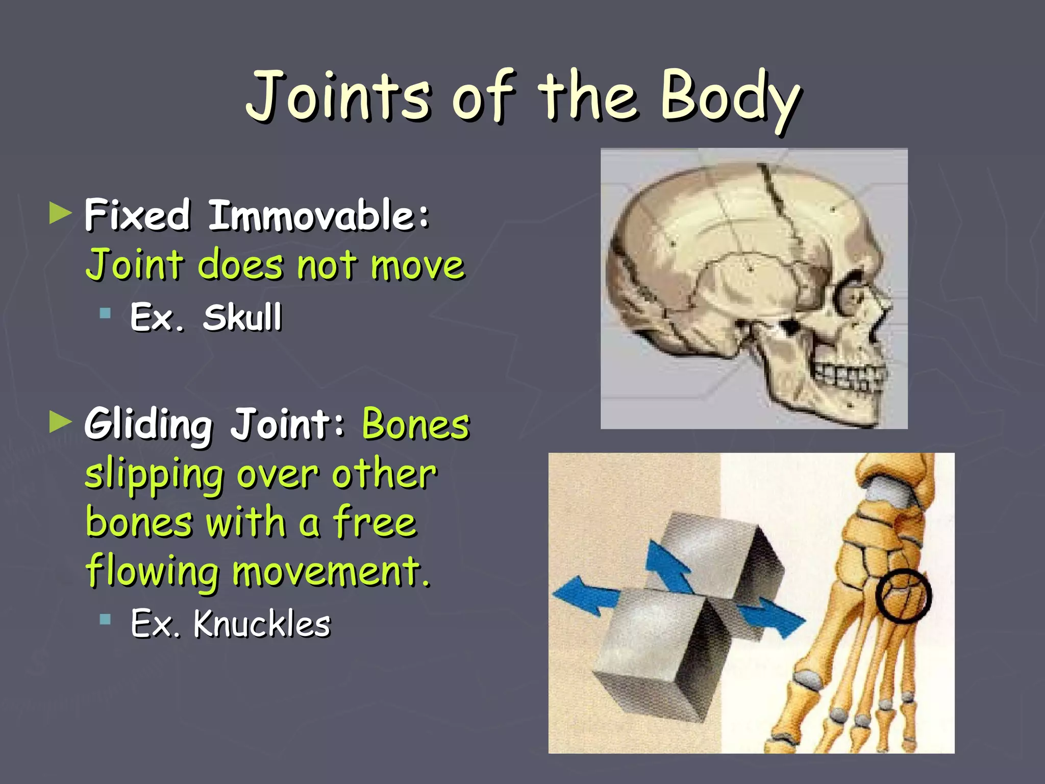 Joints of the BodyJoints of the Body
► Fixed Immovable:Fixed Immovable:
Joint does not moveJoint does not move
 Ex. SkullEx. Skull
► Gliding Joint:Gliding Joint: BonesBones
slipping over otherslipping over other
bones with a freebones with a free
flowing movement.flowing movement.
 Ex. KnucklesEx. Knuckles
 