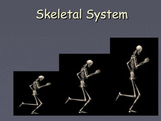 Skeletal SystemSkeletal System
 