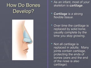 How Do Bones
How Do Bones
Develop?
Develop?
 As an infant, most of your
As an infant, most of your
skeleton is
skeleton is cartilage
cartilage.
.
 Cartilage
Cartilage is a strong
is a strong
flexible tissue.
flexible tissue.
 Over time the cartilage is
Over time the cartilage is
replaced by solid bone,
replaced by solid bone,
usually complete by the
usually complete by the
time you stop growing.
time you stop growing.
 Not all cartilage is
Not all cartilage is
replaced in adults. Many
replaced in adults. Many
joints contain cartilage,
joints contain cartilage,
protecting the ends of
protecting the ends of
bones (ears and the end
bones (ears and the end
of the nose is also
of the nose is also
cartilage)
cartilage).
.
 