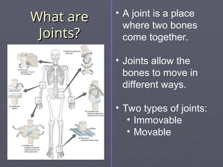 What are
What are
Joints?
Joints?
• A joint is a place
where two bones
come together.
• Joints allow the
bones to move in
different ways.
• Two types of joints:
• Immovable
• Movable
 