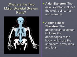 What are the Two
What are the Two
Major Skeletal System
Major Skeletal System
Parts?
Parts?
► Axial Skeleton
Axial Skeleton: The
: The
axial skeleton includes
axial skeleton includes
the skull, spine, ribs
the skull, spine, ribs
and sternum.
and sternum.
► Appendicular
Appendicular
Skeleton
Skeleton: The
: The
appendicular skeleton
appendicular skeleton
includes the
includes the
appendages of the
appendages of the
body, which are the
body, which are the
shoulders, arms, hips,
shoulders, arms, hips,
and legs.
and legs.
 