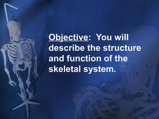 Objective: You will 
describe the structure 
and function of the 
skeletal system. 
 