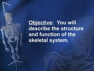 Objective :  You will describe the structure and function of the skeletal system. 