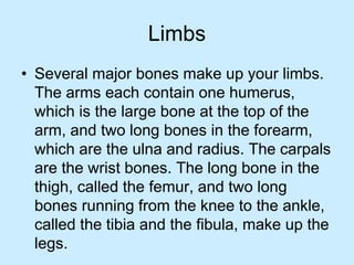 Limbs
• Several major bones make up your limbs.
The arms each contain one humerus,
which is the large bone at the top of the
arm, and two long bones in the forearm,
which are the ulna and radius. The carpals
are the wrist bones. The long bone in the
thigh, called the femur, and two long
bones running from the knee to the ankle,
called the tibia and the fibula, make up the
legs.
 