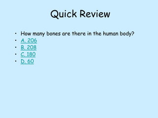 Quick Review
• How many bones are there in the human body?
• A. 206
• B. 208
• C. 180
• D. 60
 