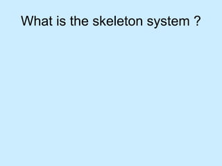 What is the skeleton system ?
 