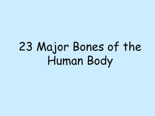 23 Major Bones of the
Human Body
 