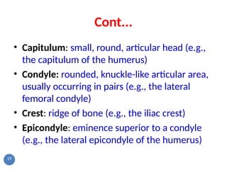 Skeletal system ppt.pptdrjjnvvvvvfvjfvjvfdvn | PPT