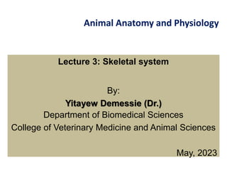 Animal Anatomy and Physiology
Lecture 3: Skeletal system
By:
Yitayew Demessie (Dr.)
Department of Biomedical Sciences
College of Veterinary Medicine and Animal Sciences
May, 2023
 