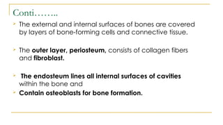 SKELETAL SYSTEM PRESENTATION.pptx by Daniel Kaiwe | PPTX