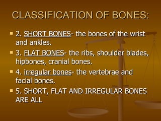 Skeletal Systems | PPT