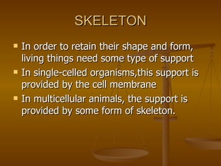 Skeletal Systems | PPT
