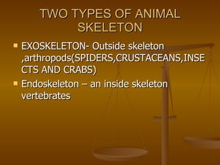 Skeletal Systems | PPT