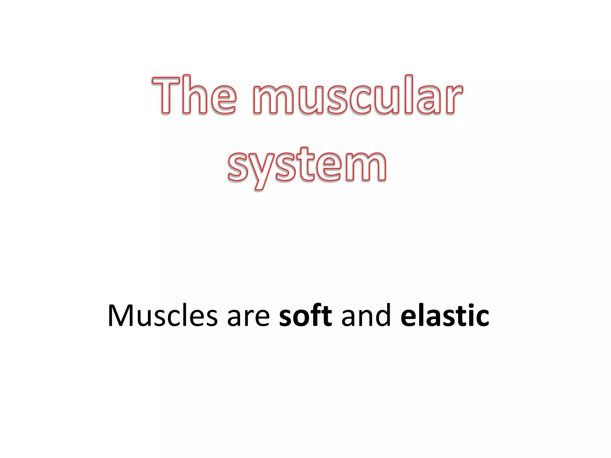 Muscles are soft and elastic
 