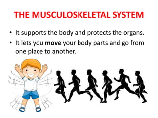 THE MUSCULOSKELETAL SYSTEM
• It supports the body and protects the organs.
• It lets you move your body parts and go from
one place to another.
 