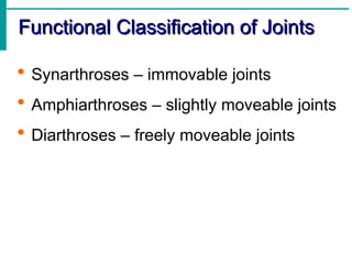 Comprehensive Overview of the Human Skeletal System: Structure ...