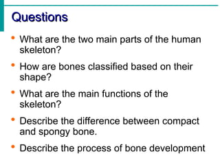 Comprehensive Overview of the Human Skeletal System: Structure ...