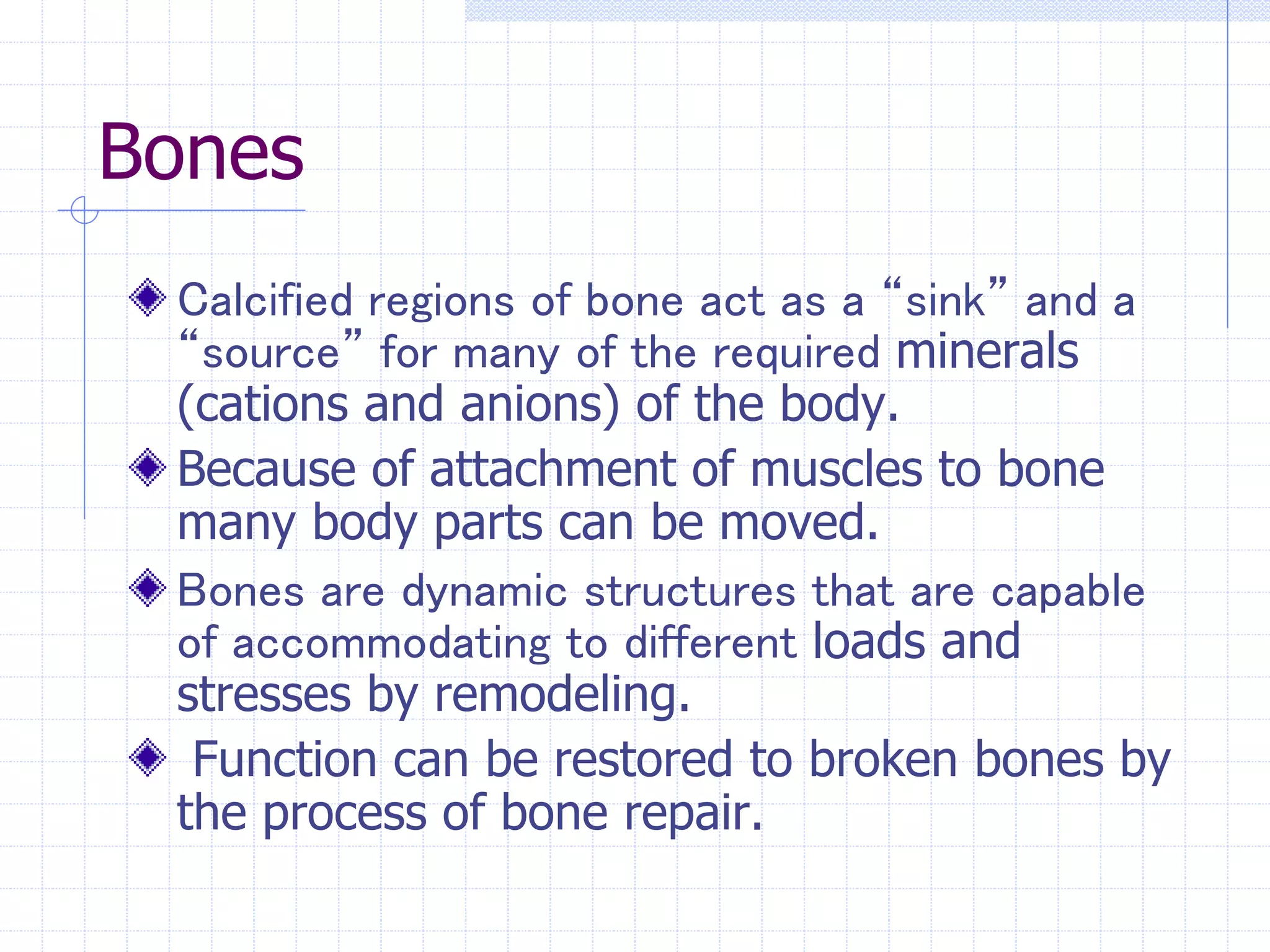 SkeletalSystemVII.ppt