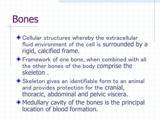 Bones
Cellular structures whereby the extracellular
fluid environment of the cell is surrounded by a
rigid, calcified frame.
Framework of one bone, when combined with all
the other bones of the body comprise the
skeleton .
Skeleton gives an identifiable form to an animal
and provides protection for the cranial,
thoracic, abdominal and pelvic viscera.
Medullary cavity of the bones is the principal
location of blood formation.
 