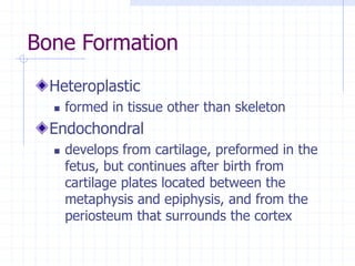 Bone Formation
Heteroplastic
 formed in tissue other than skeleton
Endochondral
 develops from cartilage, preformed in the
fetus, but continues after birth from
cartilage plates located between the
metaphysis and epiphysis, and from the
periosteum that surrounds the cortex
 