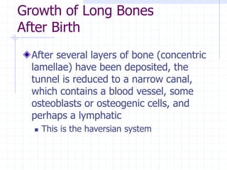 Growth of Long Bones
After Birth
After several layers of bone (concentric
lamellae) have been deposited, the
tunnel is reduced to a narrow canal,
which contains a blood vessel, some
osteoblasts or osteogenic cells, and
perhaps a lymphatic
 This is the haversian system
 