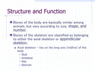 Structure and Function
Bones of the body are basically similar among
animals, but vary according to size, shape, and
number.
Bones of the skeleton are classified as belonging
to either the axial skeleton or appendicular
skeleton.
 Axial skeleton – lies on the long axis (midline) of the
body
 Skull
 Vertebrae
 Ribs
 Sternum
 