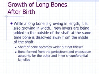 Growth of Long Bones
After Birth
While a long bone is growing in length, it is
also growing in width. New layers are being
added to the outside of the shaft at the same
time bone is dissolved away from the inside
of the shaft.
 Shaft of bone becomes wider but not thicker
 Bone formed from the periosteum and endosteum
accounts for the outer and inner circumferential
lamellae
 