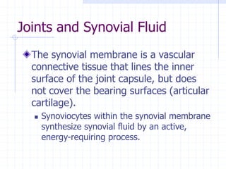 Joints and Synovial Fluid
The synovial membrane is a vascular
connective tissue that lines the inner
surface of the joint capsule, but does
not cover the bearing surfaces (articular
cartilage).
 Synoviocytes within the synovial membrane
synthesize synovial fluid by an active,
energy-requiring process.
 