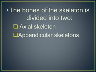•The bones of the skeleton is
divided into two:
 Axial skeleton
Appendicular skeletons
 