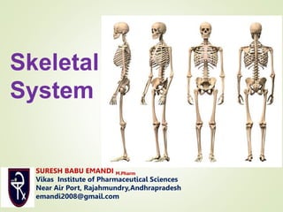 Skeletal
System
SURESH BABU EMANDI M.Pharm
Vikas Institute of Pharmaceutical Sciences
Near Air Port, Rajahmundry,Andhrapradesh
emandi2008@gmail.com
 