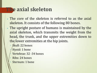 ⦁ The core of the skeleton is referred to as the axial
skeleton. It consists of the following 80 bones.
⦁ The upright posture of humans is maintained by the
axial skeleton, which transmits the weight from the
head, the trunk, and the upper extremities down to
the lower extremities at the hip joints.
◦ Skull: 22 bones
◦ Hyoid: 1 bone
◦ Vertebrae: 32 -34 bones
◦ Ribs: 24 bones
◦ Sternum: 1 bone
 