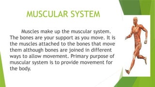 Comprehensive Grade 6 Science Module on Skeletal and Muscular Systems ...