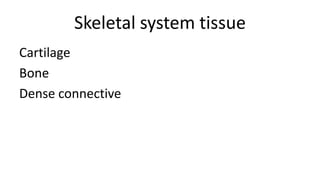 Skeletal system tissue
Cartilage
Bone
Dense connective

 