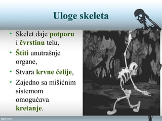 Uloge skeleta
Skelet daje potporu
i čvrstinu telu,
Štiti unutrašnje
organe,
Stvara krvne ćelije,
Zajedno sa mišićnim
sistemom
omogućava
kretanje.
 