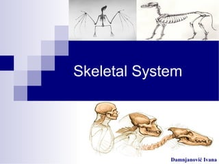 Skeletal System
Damnjanović Ivana
 
