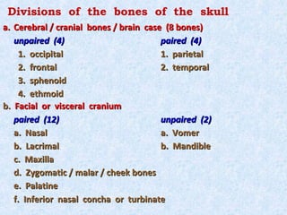 Divisions of the bones of the skull
a. Cerebral / cranial bones / brain case (8 bones)
   unpaired (4)                         paired (4)
     1. occipital                       1. parietal
     2. frontal                         2. temporal
     3. sphenoid
     4. ethmoid
b. Facial or visceral cranium
   paired (12)                          unpaired (2)
   a. Nasal                             a. Vomer
   b. Lacrimal                          b. Mandible
   c. Maxilla
   d. Zygomatic / malar / cheek bones
   e. Palatine
   f. Inferior nasal concha or turbinate
 