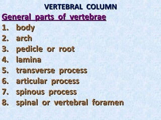 VERTEBRAL COLUMN
General parts of vertebrae
1. body
2. arch
3. pedicle or root
4. lamina
5. transverse process
6. articular process
7. spinous process
8. spinal or vertebral foramen
 