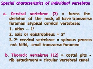 Special characteristics of individual vertebrae

 a. Cervical vertebrae (7) = forms the
    skeleton of the neck, all have transverse
    foramen atypical cervical vertebrae:
    1. atlas -- 1st
    2. axis or epistropheus = 2nd
    3. 7th cervical vertebrae = spinous process
     not bifid, small transverse foramen

  b. Thoracic vertebrae (12) = costal pits -
    rib attachment = circular vertebral canal
 
