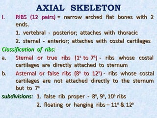 AXIAL SKELETON
I.    RIBS (12 pairs) = narrow arched flat bones with 2
      ends.
      1. vertebral - posterior; attaches with thoracic
      2. sternal - anterior; attaches with costal cartilages
Classification of ribs:
a.    Sternal or true ribs (1st to 7th) - ribs whose costal
      cartilages are directly attached to sternum
b. Asternal or false ribs (8th to 12th) - ribs whose costal
      cartilages are not attached directly to the sternum
      but to 7th
subdivisions: 1. false rib proper - 8th, 9th, 10th ribs
               2. floating or hanging ribs – 11th & 12th
 