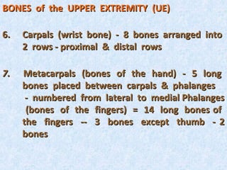 BONES of the UPPER EXTREMITY (UE)

6.   Carpals (wrist bone) - 8 bones arranged into
     2 rows - proximal & distal rows

7.   Metacarpals (bones of the hand) - 5 long
     bones placed between carpals & phalanges
      - numbered from lateral to medial Phalanges
      (bones of the fingers) = 14 long bones of
     the fingers -- 3 bones except thumb - 2
     bones
 