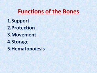 Functions of the Bones
1.Support
2.Protection
3.Movement
4.Storage
5.Hematopoiesis
 