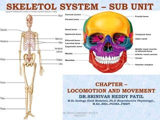 SKELETOL SYSTEM – SUB UNIT




                                       CHAPTER –
                                LOCOMOTION AND MOVEMENT
                                        DR.SRINIVAS REDDY PATIL
                                M.Sc Zoology (Gold Medalist).,Ph.D (Reproductive Physiology).,
                                                 M.Ed.,MBA.,PGDBA.,FMSPI


Saturday, February 9, 2013   DR.SRINIVASREDDY PATIL'S                                    1
                                     BIOLOGY
 