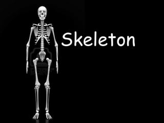 Skeleton
 